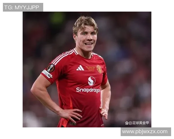 霍伊伦的传奇人生与不朽贡献探秘之旅