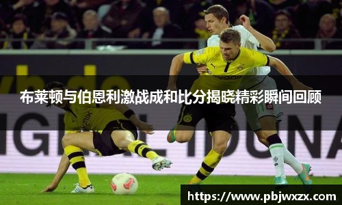 布莱顿与伯恩利激战成和比分揭晓精彩瞬间回顾